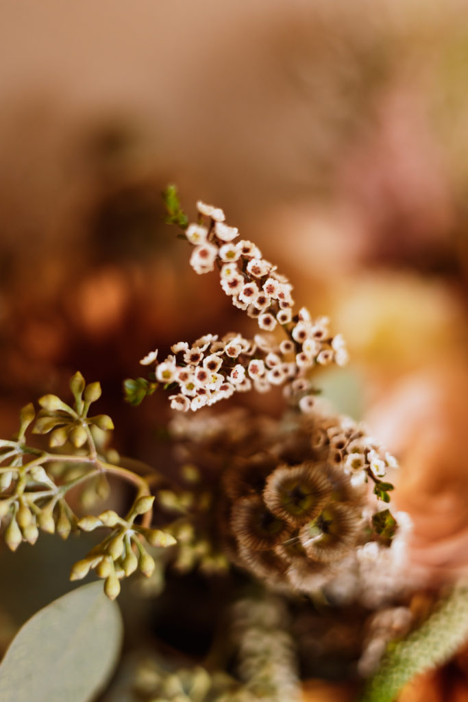 detail flower photo